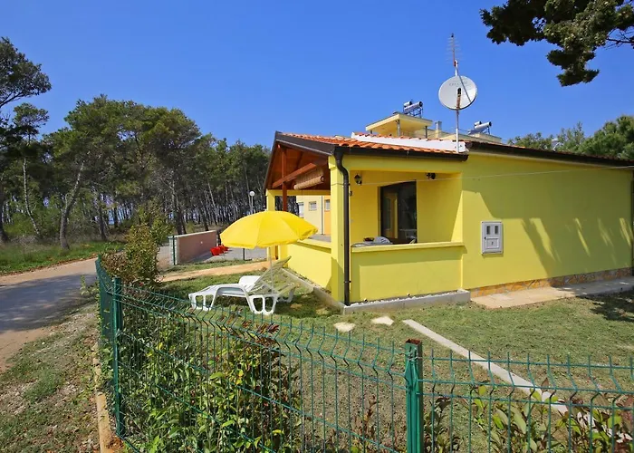 House On The Tin Tatil Evi *